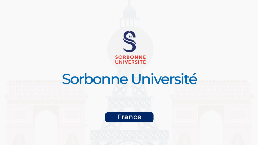 SORBON 6